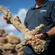 Jacob Sharvit, director de la Unidad de Arqueología Marina de la Autoridad de Antigüedades de Israel, sosteniendo la espada